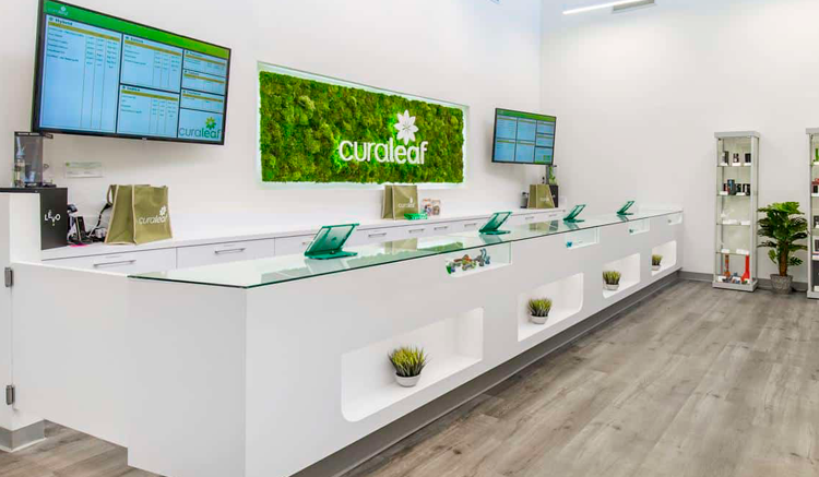 Curaleaf Holdings, el gigante de la hierba de USA compra una licencia para cultivar en España